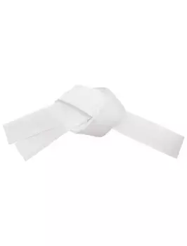 Заколка Prairie