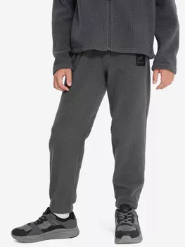 Брюки флисовые для мальчиков, Серый