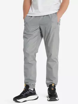 Брюки флисовые мужские Demix, Синий