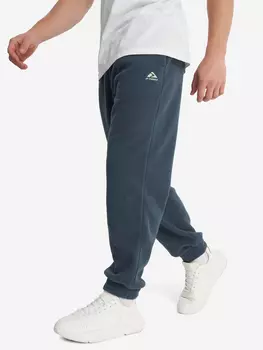 Брюки флисовые мужские Discover, Синий