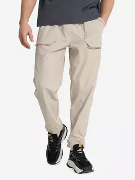 Брюки мужские, Бежевый