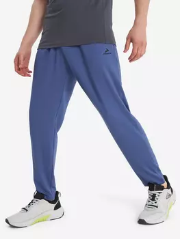 Брюки мужские Demix, Синий