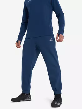 Брюки мужские Demix, Синий