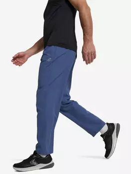 Брюки мужские Demix, Синий