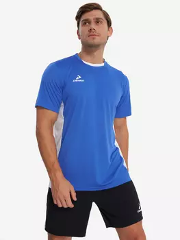 Футболка мужская Demix, Синий