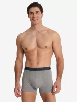 Трусы мужские, Серый