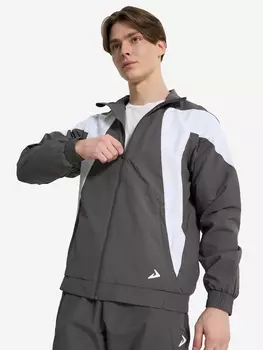 Ветровка мужская, Серый