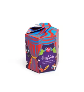 Набор носков Happy socks 2-pack Circus Socks Gift Set XCIR02