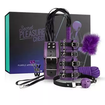 Набор Secret Pleasure Chest Purple Apprentice