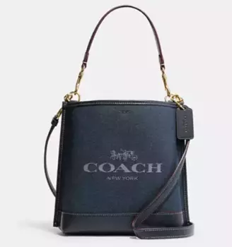 Сумка COACH Mollie Bucket Bag CH224 (10011265JAX) (Denim Multi)