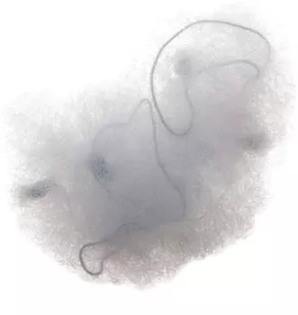 Сеточка-паутинка малая серая DEWAL