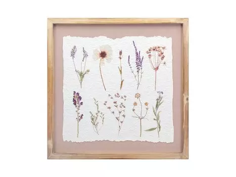 Картина Ботаник-1 Herbarium Brown