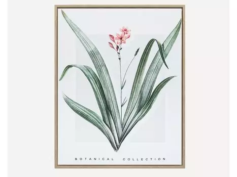 Картина Ботаник Flower