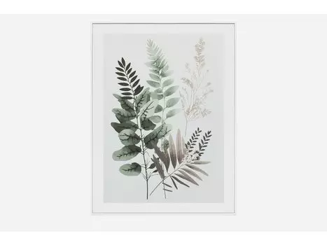 Картина Ботаник Grass