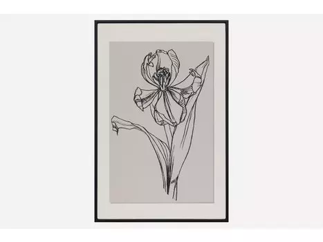 Картина Ирис-1 Grafic