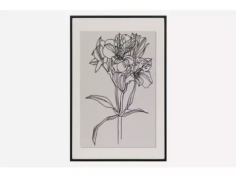 Картина Ирис-2 Grafic