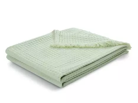 Плед Сальда Green 170x220