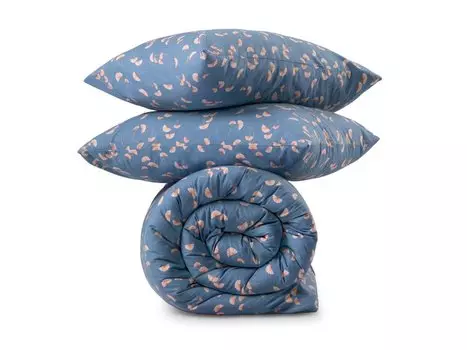 Полукомплект постельного белья Pick&Pair 2.0 Blow-Blue