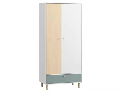 Распашной шкаф Дикинс-2 Mint Plywood