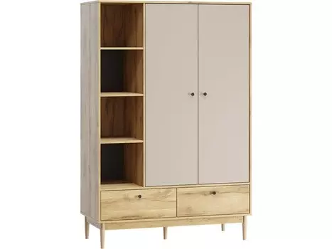 Распашной шкаф Ферран-2 Wood