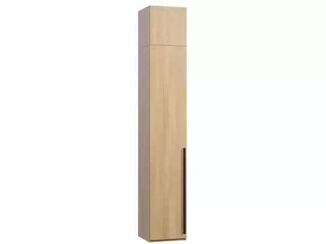 Распашной шкаф Кимбол-1.1-50-300 Oak