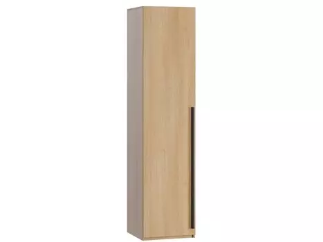 Распашной шкаф Кимбол-1-50-210 Oak