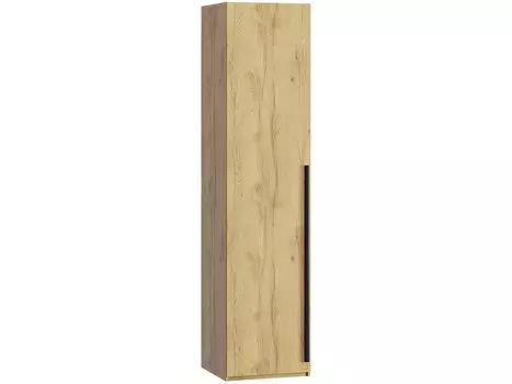 Распашной шкаф Кимбол-1-50-210 Wood