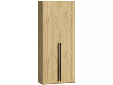 Распашной шкаф Кимбол-2-100-240 Wood
