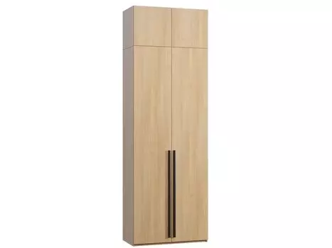 Распашной шкаф Кимбол-2.1-100-300 Oak