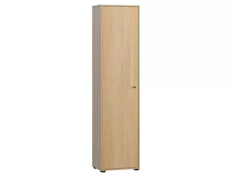 Распашной шкаф Сайрис-1 Oak