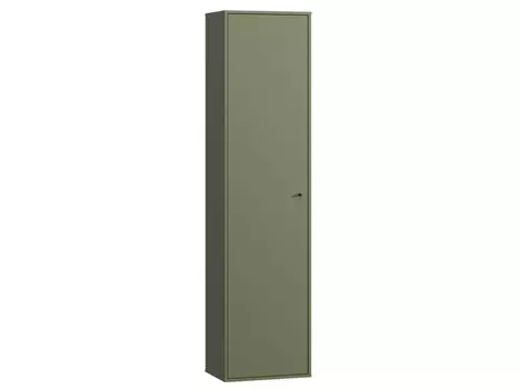 Распашной шкаф Сайрис-1 Olive