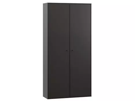 Распашной шкаф Сайрис-2 Black