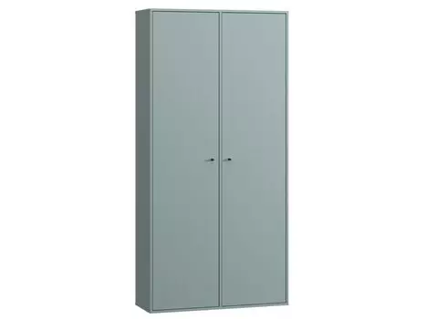 Распашной шкаф Сайрис-2 Mint