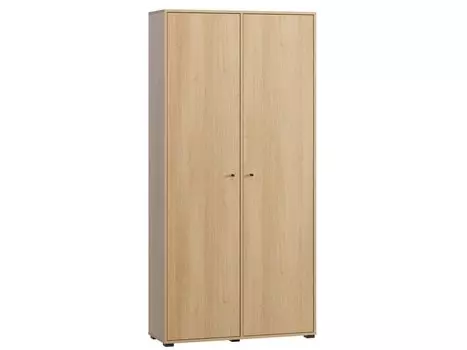Распашной шкаф Сайрис-2 Oak