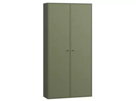 Распашной шкаф Сайрис-2 Olive