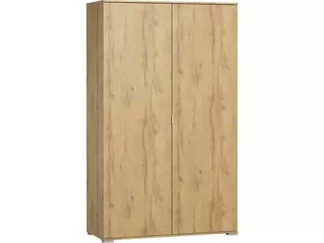 Распашной шкаф Стелла-2-120-220 Дуб Золотистый