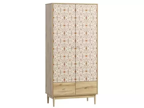 Распашной шкаф Тайрон-2 Flori