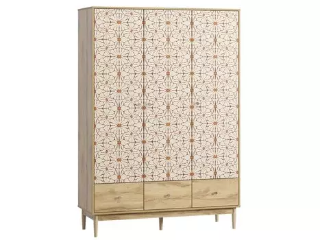 Распашной шкаф Тайрон-3 Flori