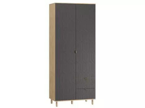 Распашной шкаф Теджонс-2 Deco Grafit