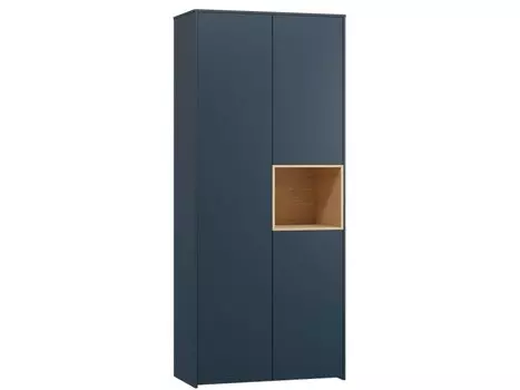 Распашной шкаф Висмар-2 Dark Blue