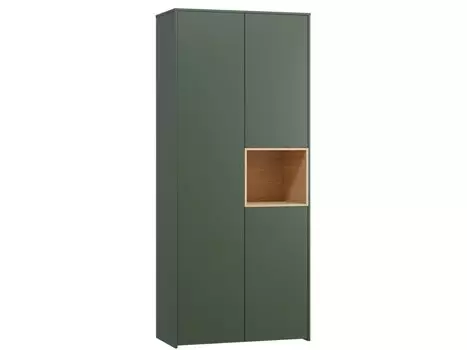 Распашной шкаф Висмар-2 Forest