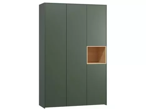 Распашной шкаф Висмар-3 Forest