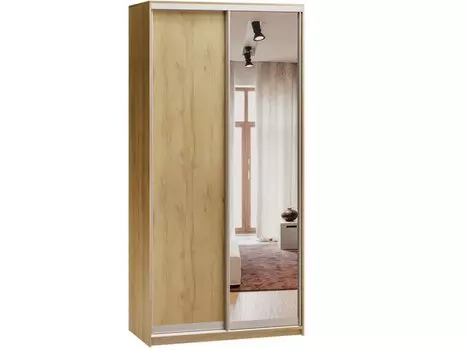 Шкаф-купе Байкал-2-100-220 Дуб Золотистый с зеркалом