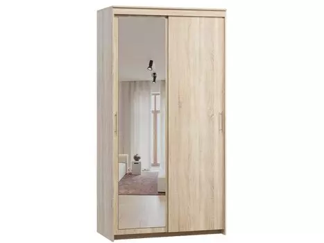 Шкаф-купе Тебар-2-120-230 Дуб Сонома 1 зеркало