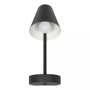 Бра LOFT IT 10216/1W Black