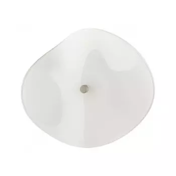 Бра Odeon Light 4856/5WL