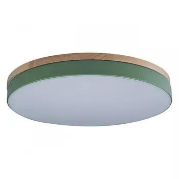 Детский светильник LOFT IT 10001/36 Green