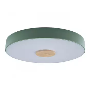 Детский светильник LOFT IT 10003/24 Green