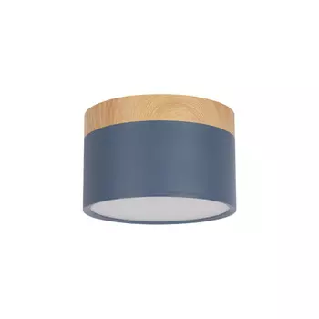 Детский точечный светильник LOFT IT 10162 Blue