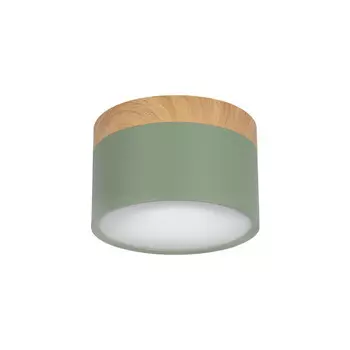 Детский точечный светильник LOFT IT 10162 Green